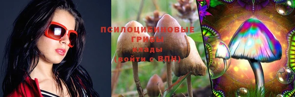 гашик Абинск