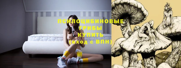 Альфа ПВП Абаза