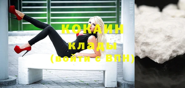 индика Алексеевка