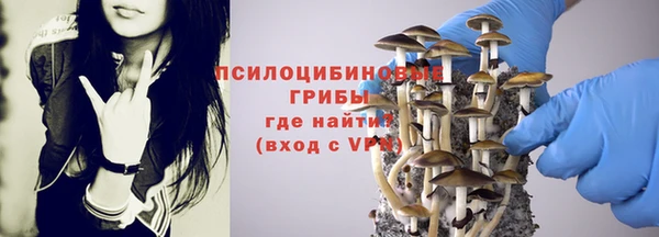 гашик Абинск