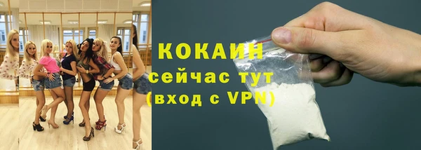 индика Алексеевка