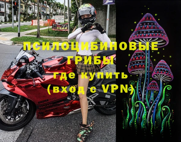 гашик Абинск