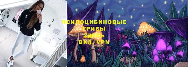 гашик Абинск