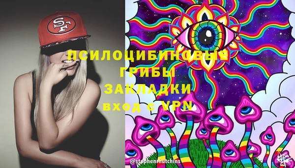 гашик Абинск