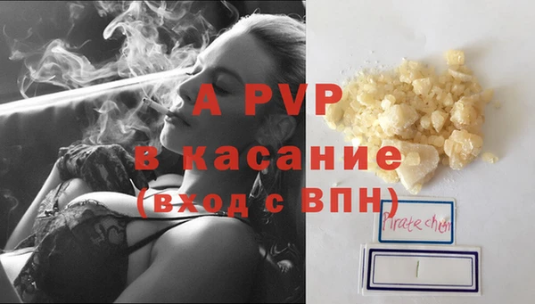 гашик Абинск